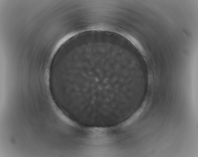 X0000114520854200910191153