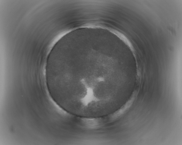 X0000114520855200910191153