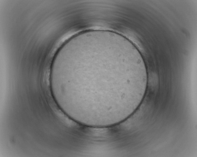 X0000114520856200910191153