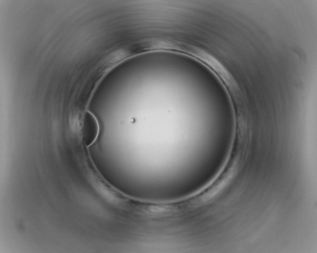 X0000114520857200910191153