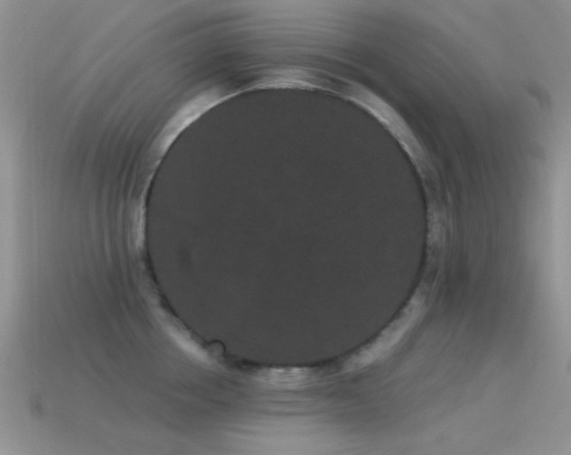 X0000114520858200910191153