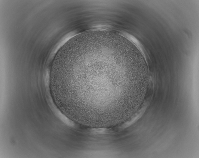 X0000114520859200910191153