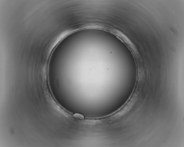 X0000114520860200910191153