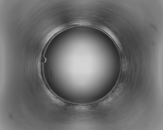 X0000114520861200910191153