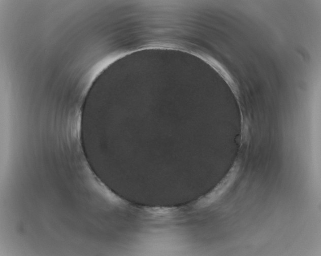 X0000114520862200910191153