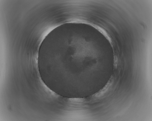 X0000114520863200910191153