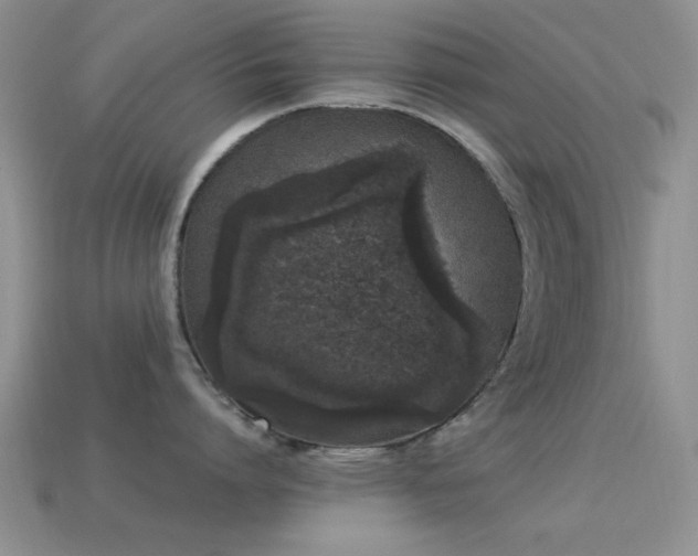 X0000114520864200910191153