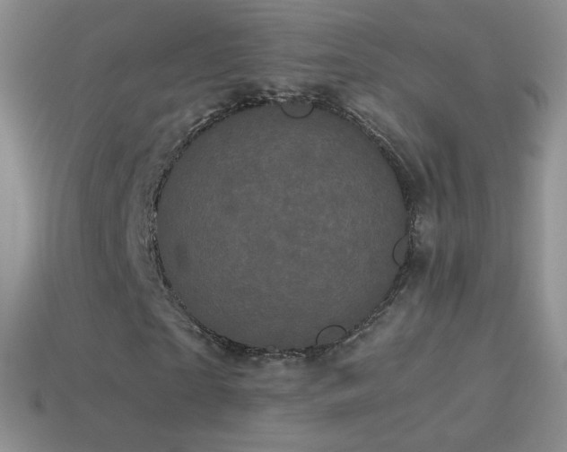 X0000114520865200910191153