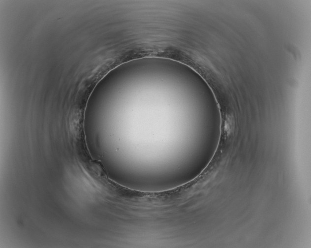 X0000114520867200910191152