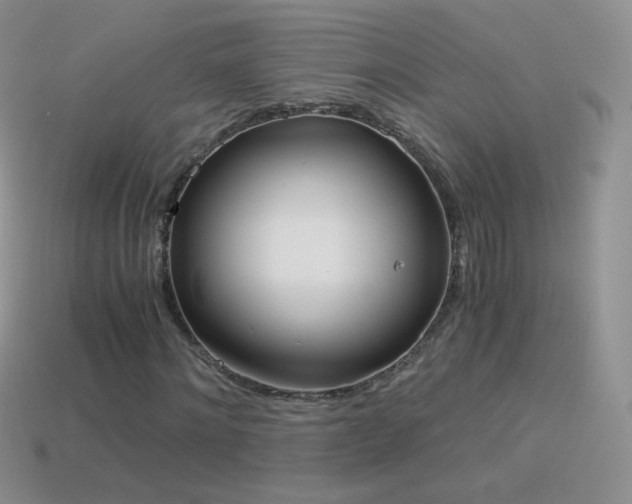 X0000114520868200910191152