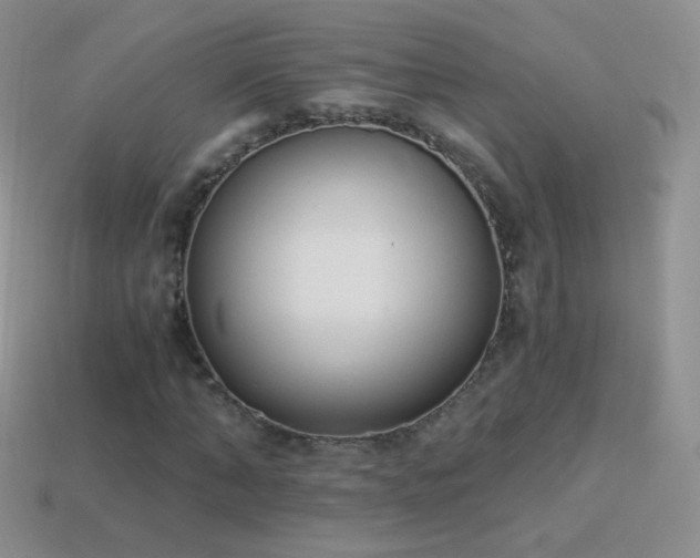 X0000114520870200910191152