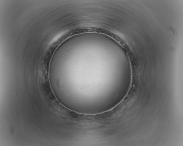 X0000114520871200910191152