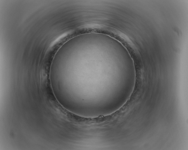 X0000114520872200910191152