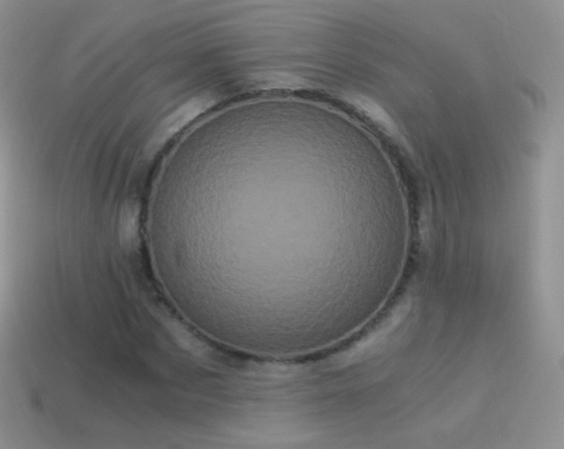 X0000114520873200910191152
