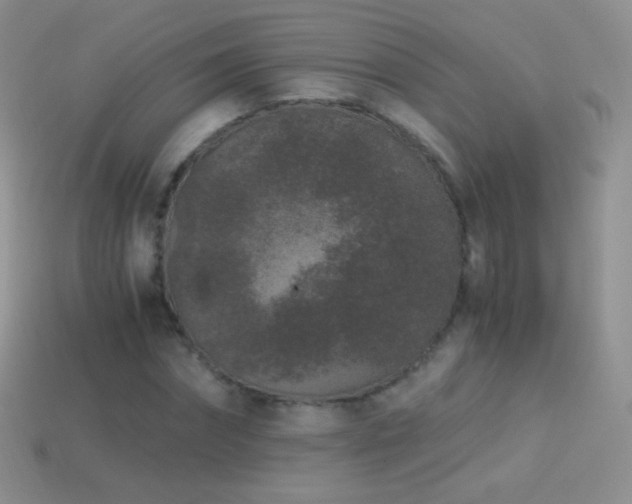 X0000114520874200910191152