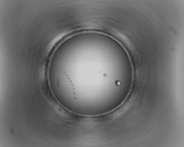 X0000114520875200910191152
