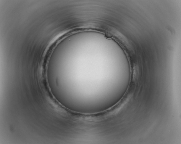 X0000114520876200910191152