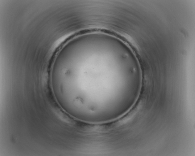 X0000114520879200910191152