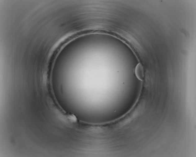 X0000114520880200910191152