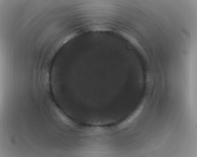 X0000114520881200910191152
