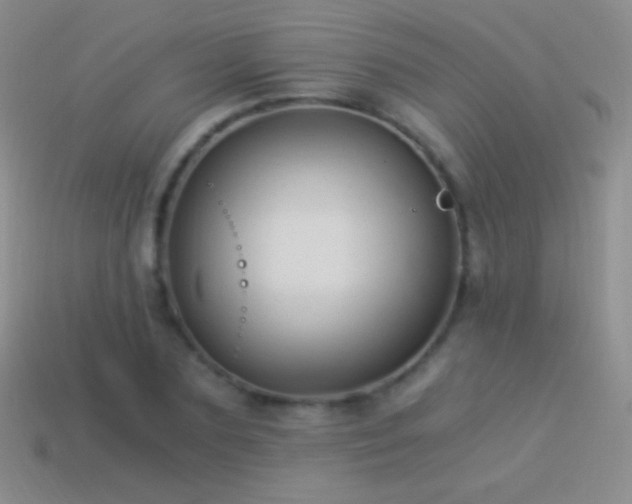 X0000114520883200910191152