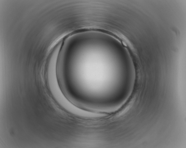 X0000114520885200910191152