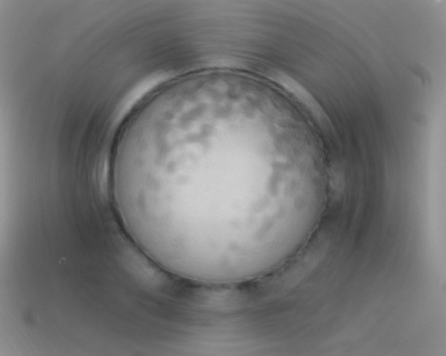 X0000114520886200910191152