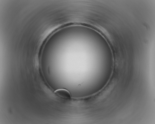 X0000114520887200910191152