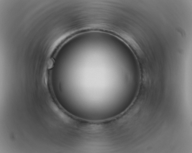 X0000114520888200910191152