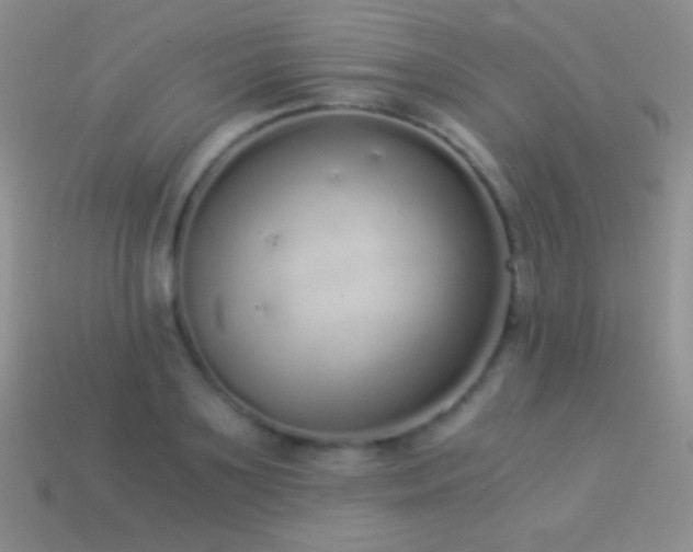 X0000114520891200910191152