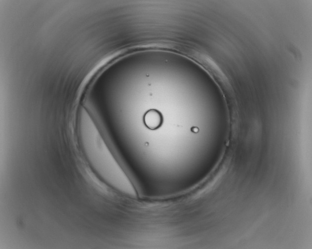 X0000114520892200910191152