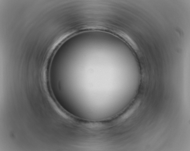 X0000114520893200910191152