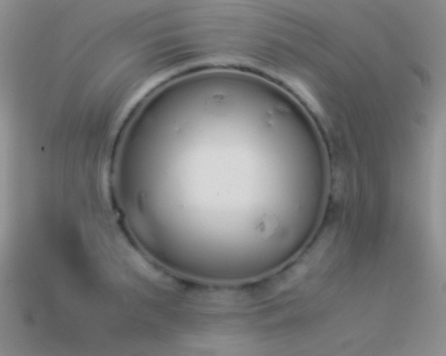 X0000114520895200910191152