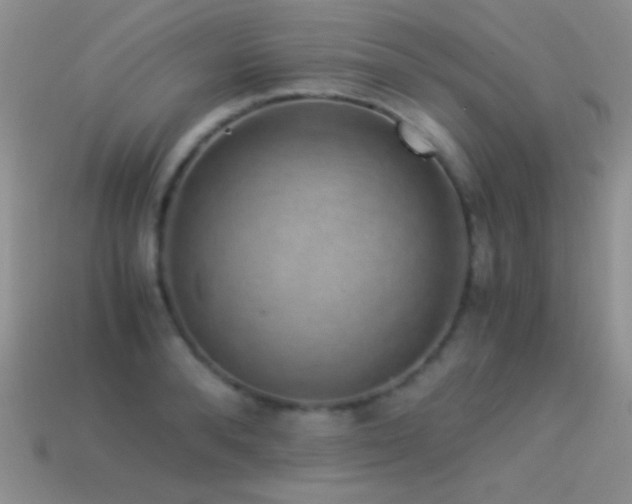 X0000114520896200910191152
