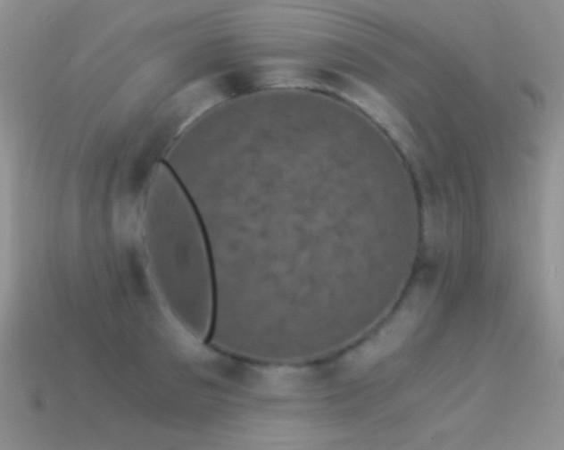 X0000114520897200910191152