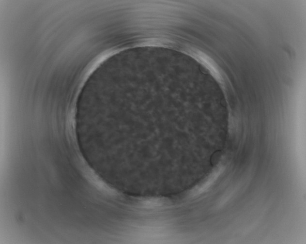 X0000114520899200910191152