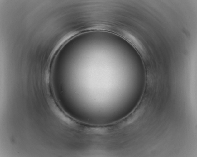 X0000114520900200910191152