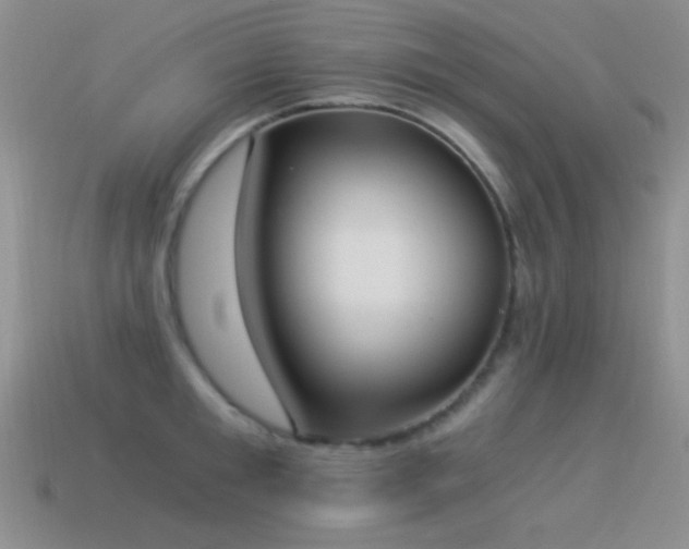 X0000114520901200910191152