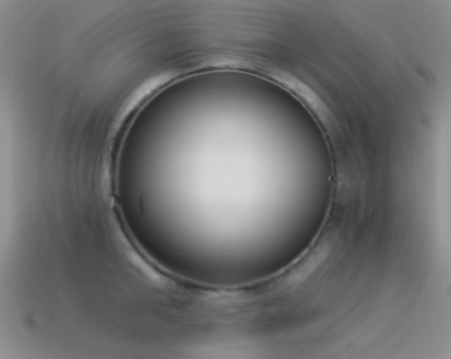 X0000114520902200910191152