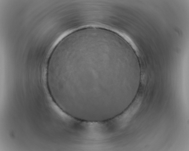 X0000114520903200910191152