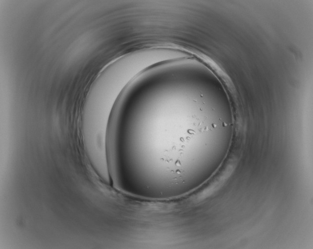 X0000114520905200910191152