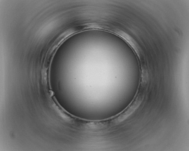 X0000114520906200910191152