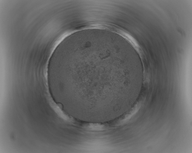 X0000114520907200910191152