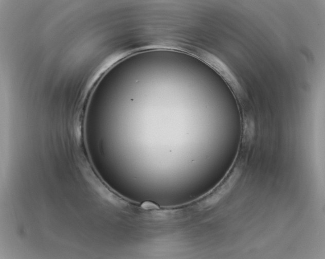 X0000114520908200910191152