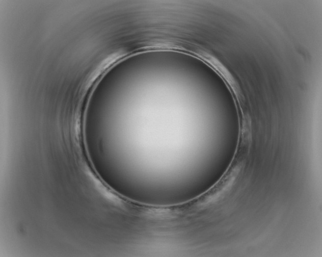 X0000114520909200910191152
