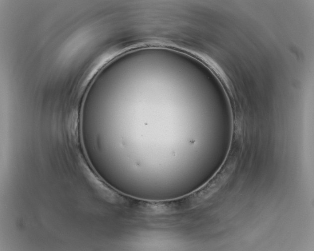 X0000114520911200910191152