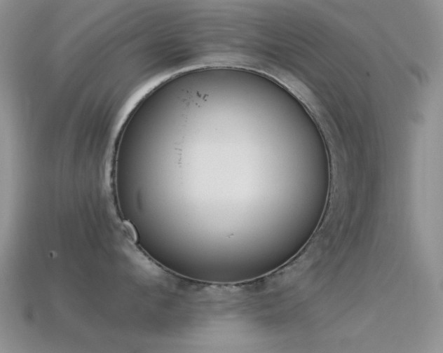 X0000114520912200910191152
