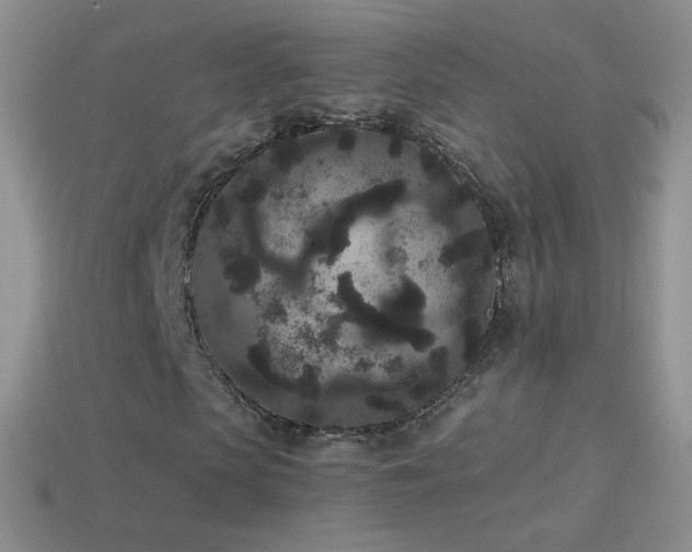 X0000114520913200910191151