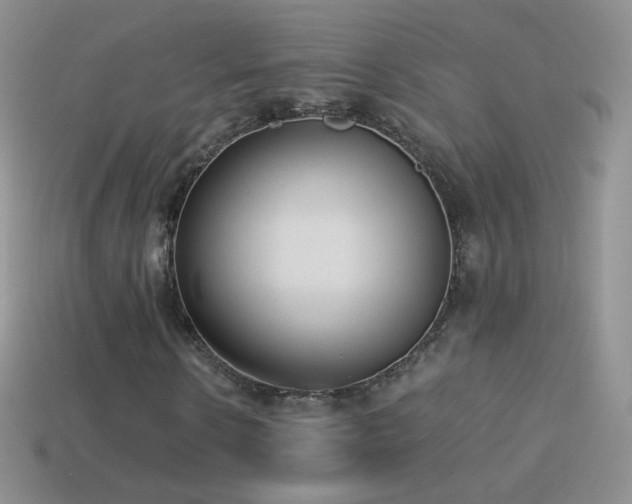 X0000114520914200910191151