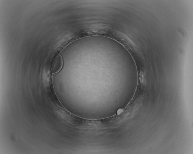X0000114520915200910191151